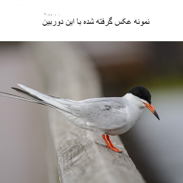 دوربین دیجیتال نیکون مدل D7100 به همراه لنز 18-140 میلی متر