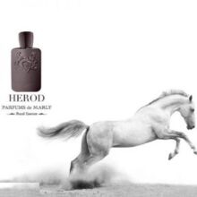 تستر ادوپرفیوم مردانه پرفیوم دو مارلی (Parfums De Marly) مدل هیرود حجم 125 میلی لیتر (غیر اصل)