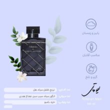 ادوتویلت مردانه لیلا حاتمی مدل Teheran Men ‌
