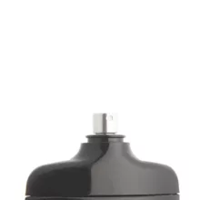 ادو پرفیوم مردانه نایس پاپت مدل Silver Scent با رایحه خنک و تند حجم 85 میلی لیتر