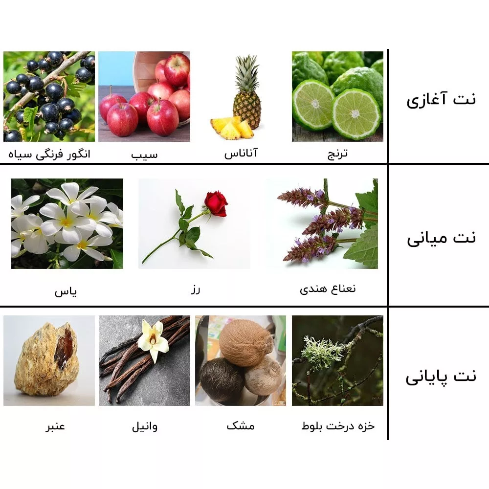 ادو پرفیوم مردانه نیفتی مدل کرید اونتوس  حجم 100 میلی لیتر