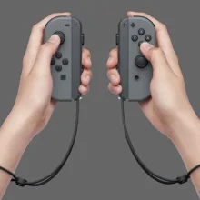 دسته بازی نینتندو سوییچ مدل Joy Con Gray
