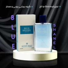 ادو پرفیوم مردانه وودی سنس مدل بلوشنل حجم 100 میلی لیتر