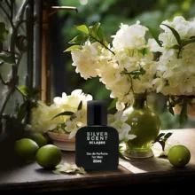 ادوپرفیوم مردانه اسکلاره مدل Silver Scent با رایحه گرم و تند حجم 35 میلی لیتر