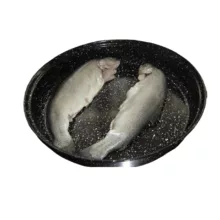 کباب پز روگازی صبا مدل ZR4000