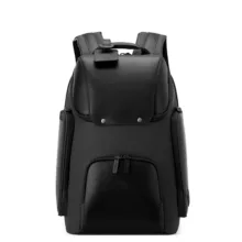 کوله پشتی لپ تاپ دلسی مدل PEUGEOT کد 1006600 مناسب برای لپ تاپ تا 15.6 اینچی