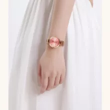 ساعت مچی عقربه ای زنانه نیوی فورس مدل NF5030
