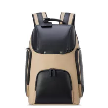 کوله پشتی لپ تاپ دلسی مدل PEUGEOT کد 1006600 مناسب برای لپ تاپ تا 15.6 اینچی