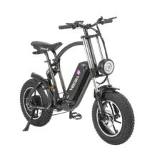 دوچرخه کوهستان نگین مدل pd250 سایز طوقه 16 اینچ