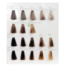 رنگ مو فشینلی سری Beige مدل بژ شماره 9.2