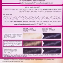 کیت رنگ مو پلت سری Deluxe مدل Magical Blue Black شماره 1-1