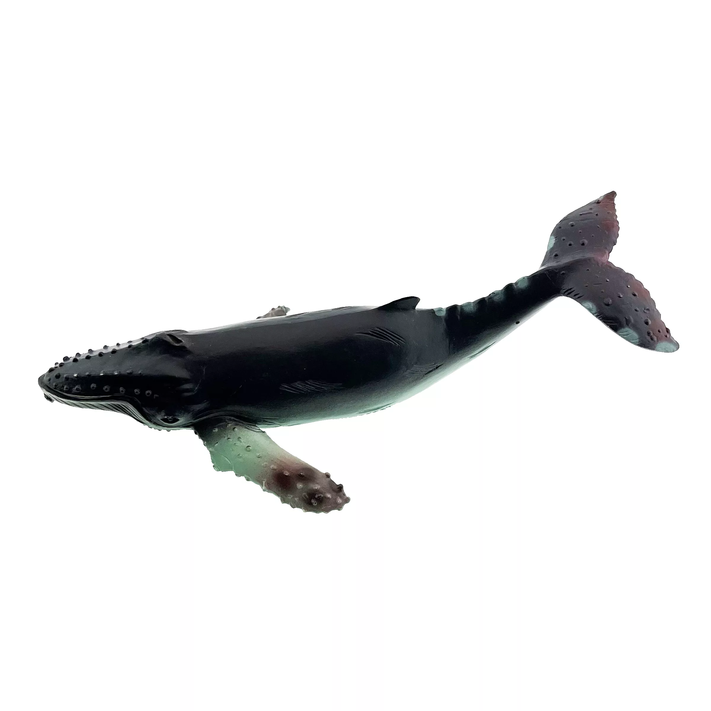 فیگور مدل حیوانات اقیانوس مجموعه 6 عددی