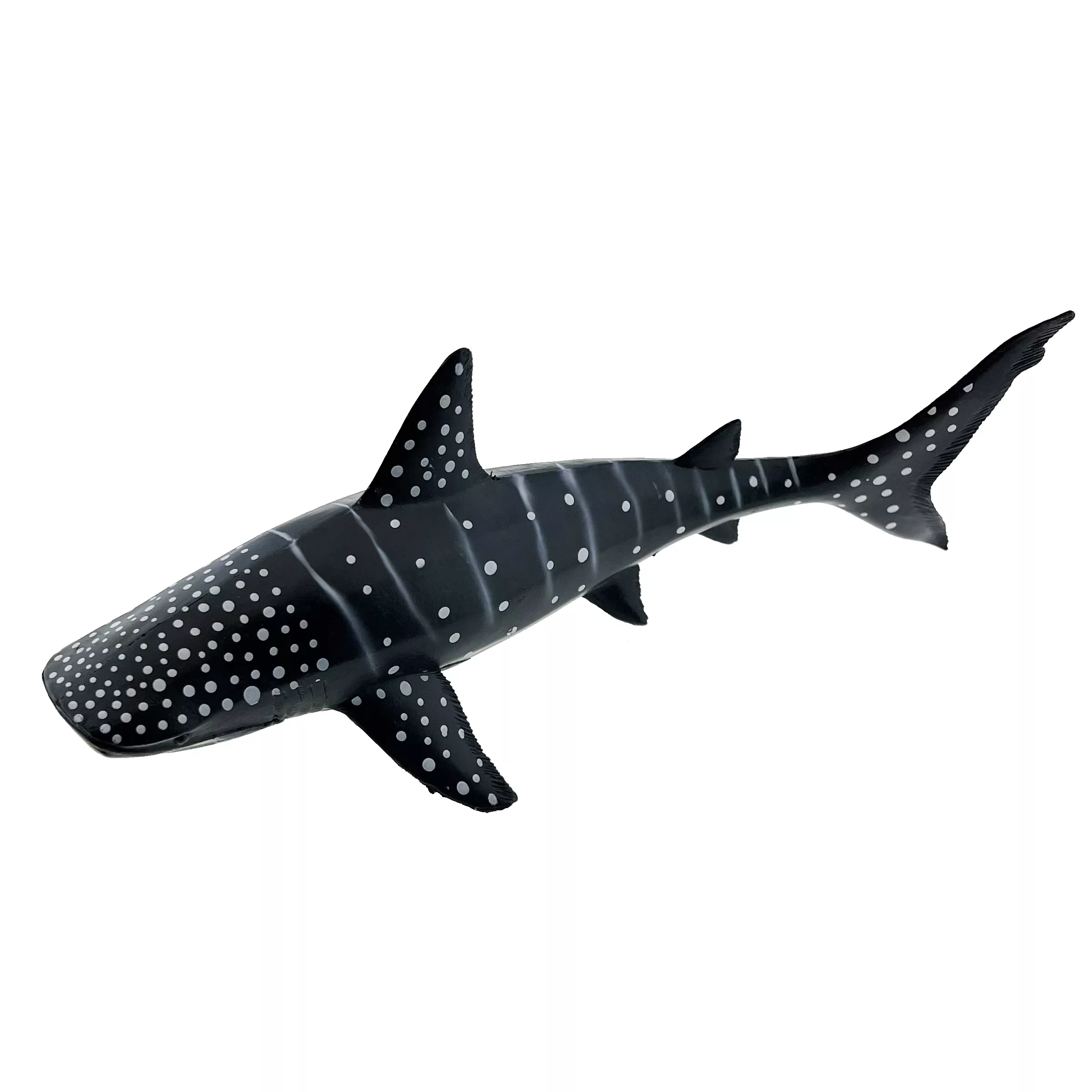 فیگور مدل حیوانات اقیانوس مجموعه 6 عددی