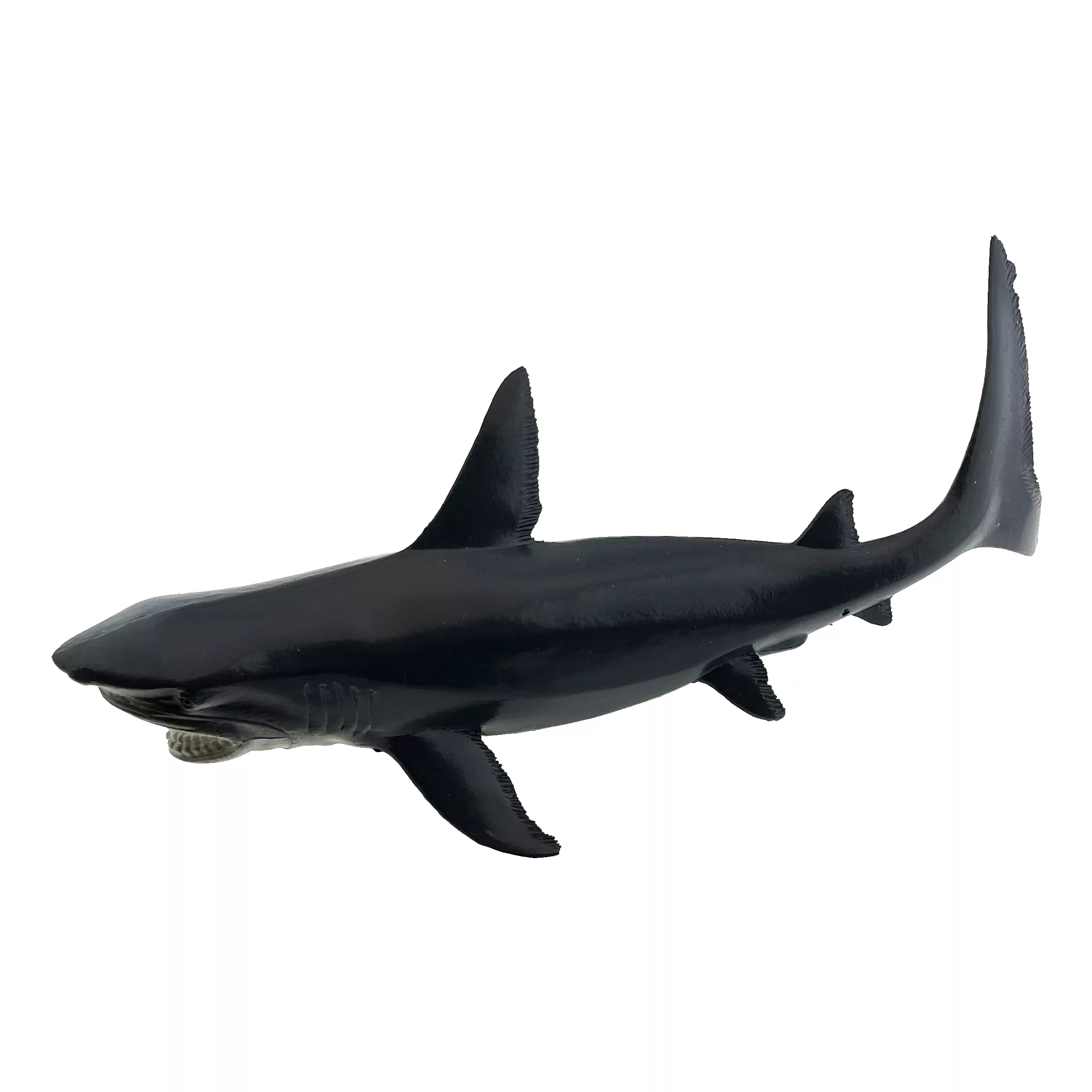 فیگور مدل حیوانات اقیانوس مجموعه 6 عددی