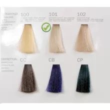 رنگ مو فشینلی سری Ultrablonde مدل سیلور بلوند شماره 101