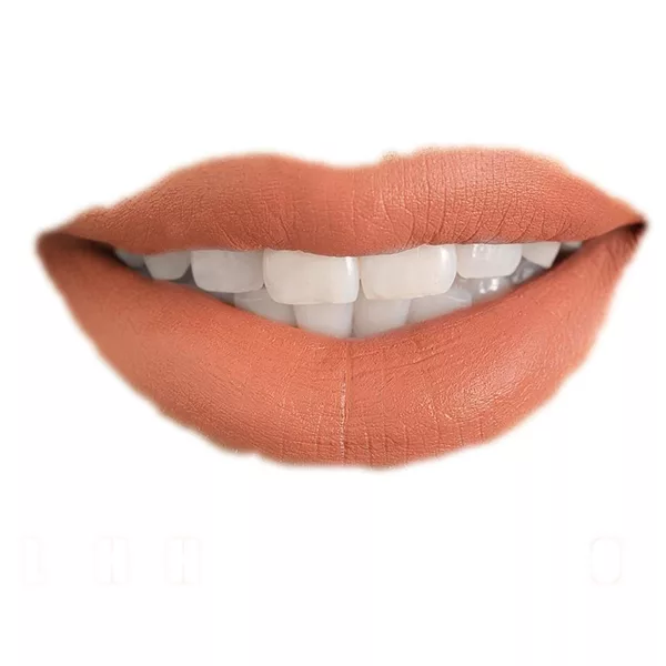 رژ لب جامد فان فیس شماره V 204