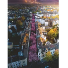 پازل 1500 تکه راونزبرگر مدل Blossoming Bonn Germany کد 17104