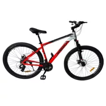 دوچرخه کوهستان مدل w 06 سایز طوقه 29