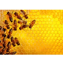 پازل 1000 تکه راونزبرگر مدل The Beehive کد 17362