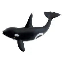 فیگور مدل حیوانات اقیانوس مجموعه 6 عددی