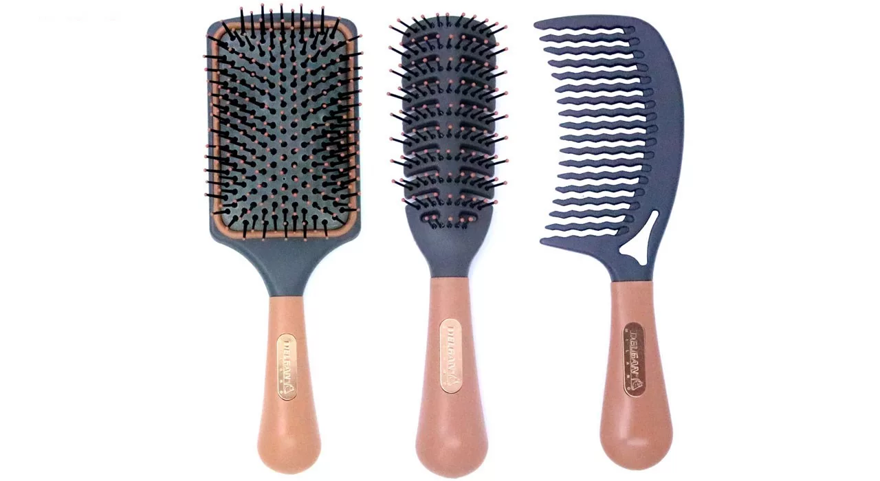 شانه و برس دلگان مدل P05-000001 بسته 3 عددی