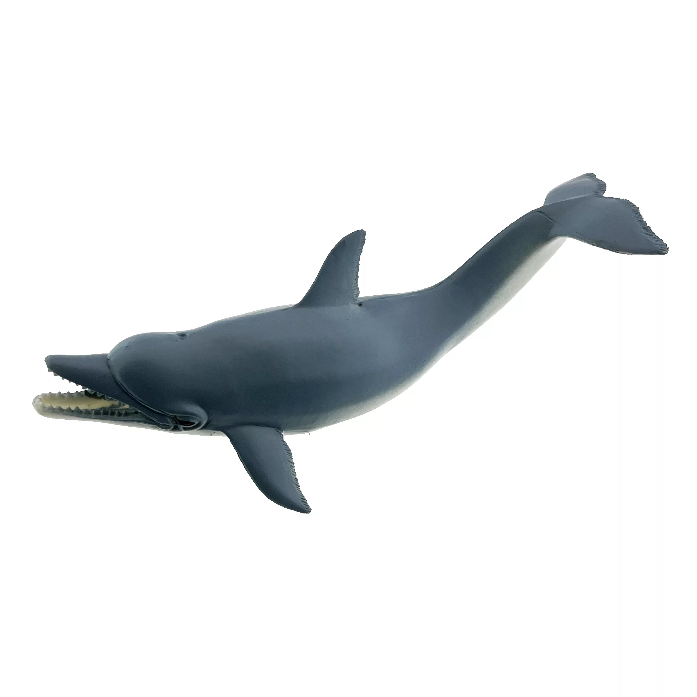 فیگور مدل حیوانات اقیانوس مجموعه 6 عددی