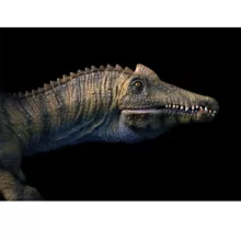 فیگور تی ان جی مدل دایناسور طرح Spinosaurus