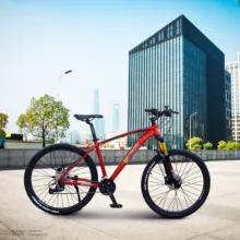 دوچرخه شهری دبلیو استاندارد مدل PRO T1 سایز 27.5