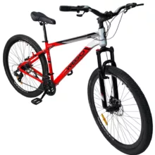 دوچرخه کوهستان مدل w 06 سایز طوقه 29