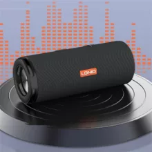 اسپیکر بلوتوثی الدینیو مدل BTS13 ضدآب