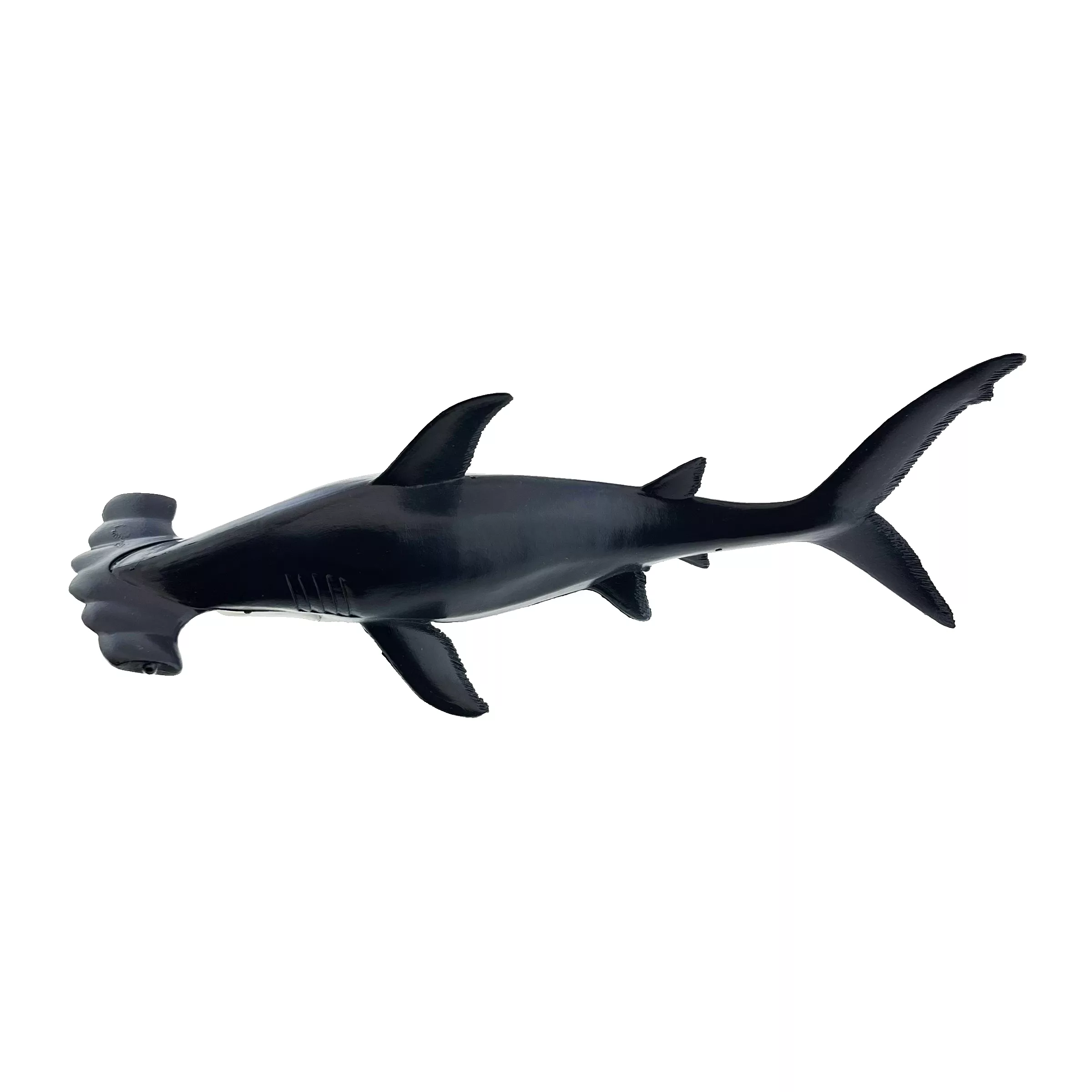 فیگور مدل حیوانات اقیانوس مجموعه 6 عددی