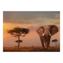 پازل 1000 تکه راونزبرگر مدل Elephant in the Masai Mara National Park کد 15159