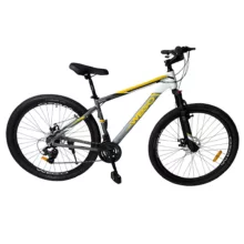دوچرخه کوهستان مدل w 10 سایز طوقه 29