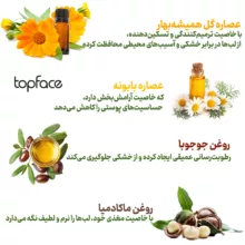 رژ لب مایع تاپ فیس مدل Perfect Gleam سری Focus Point شماره 105