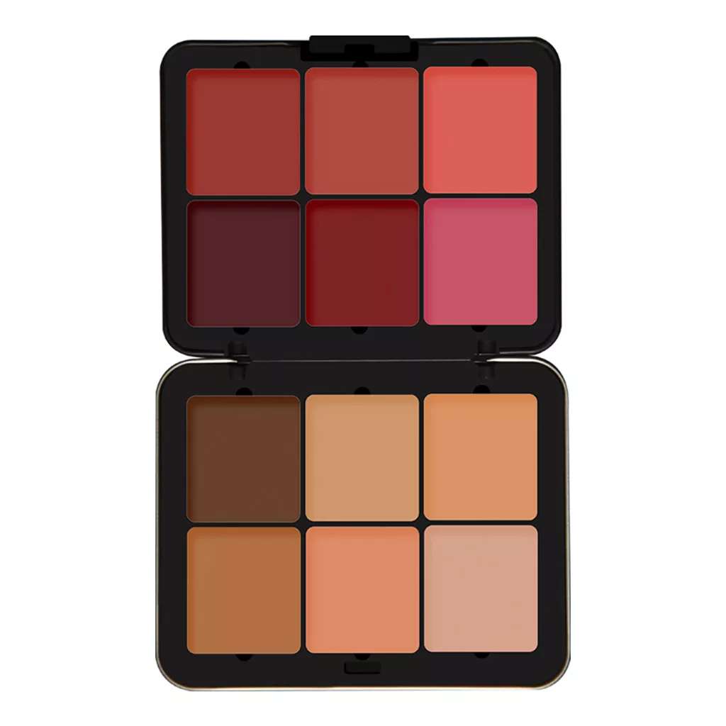 پالت کانتور و رژگونه فیوچر میکاپ مدل High Definition شماره 103