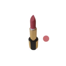 رژ لب جامد فان فیس شماره S 250