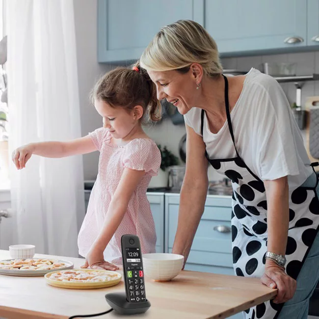 تلفن گیگاست مدل E290