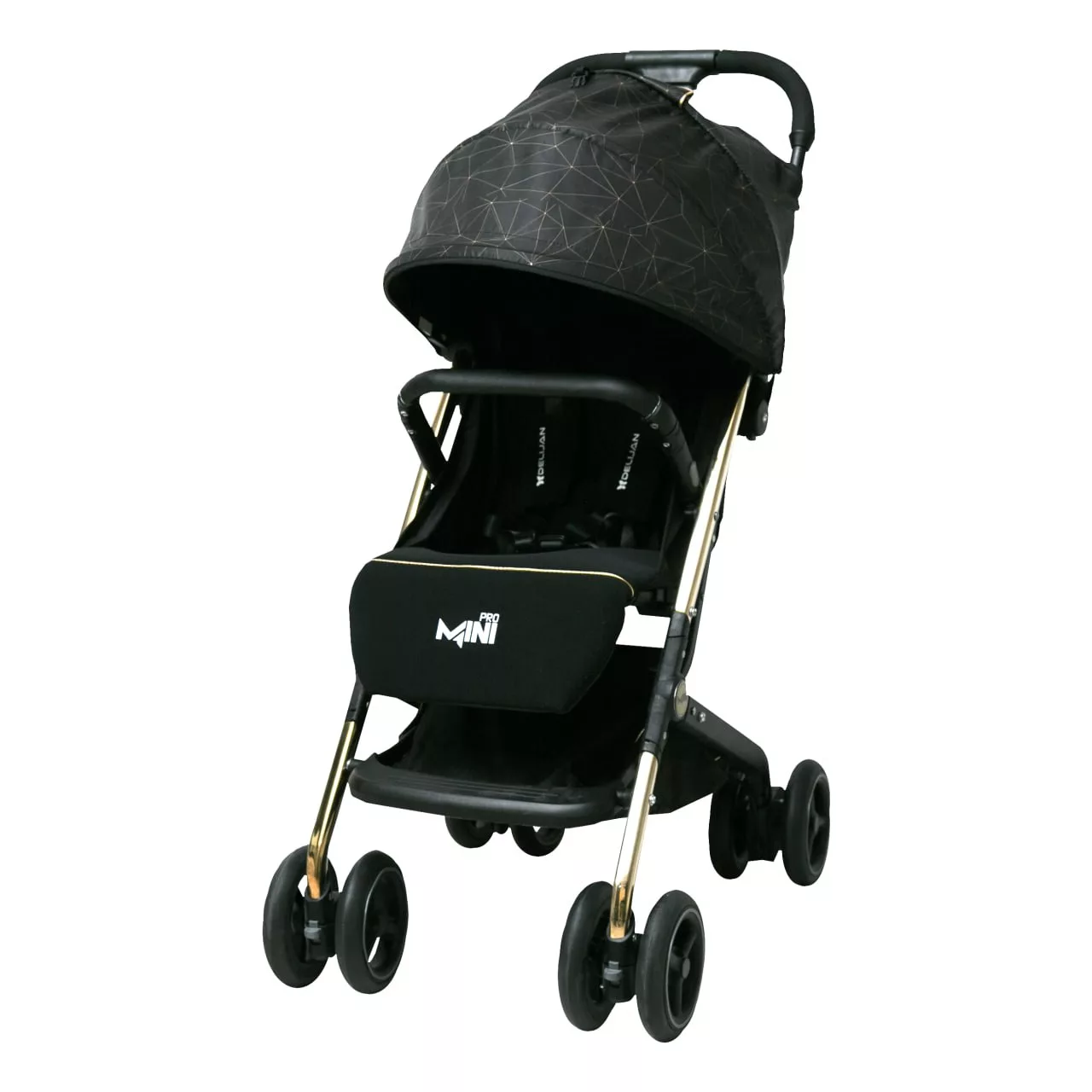 کالسکه مسافرتی دلیجان مدل مینی پرو طرح کهکشان