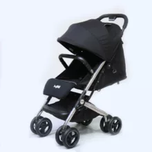 کالسکه دلیجان مدل مینی پرو بدنه نقره ای