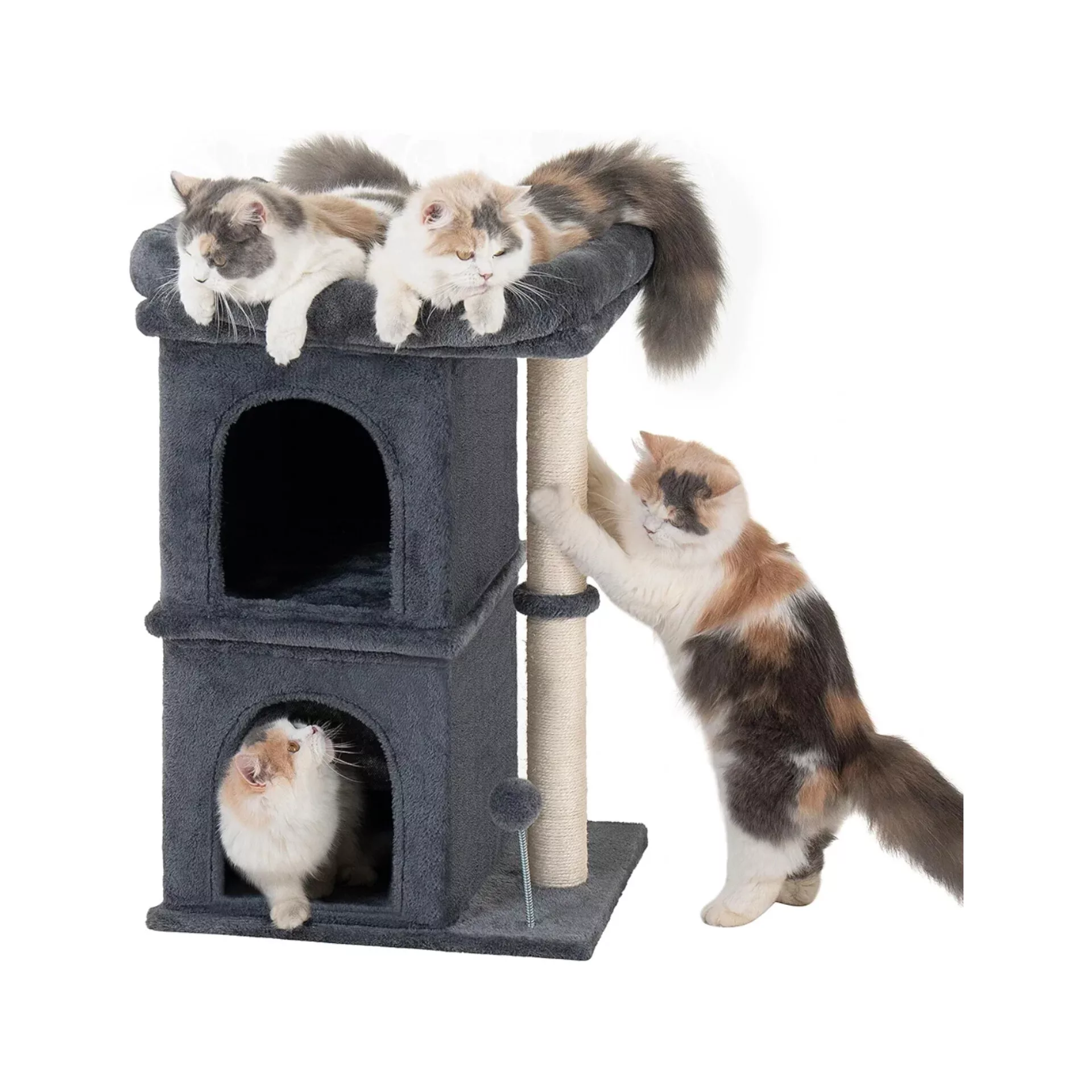 اسکرچر گربه مدل kadcat-shp600