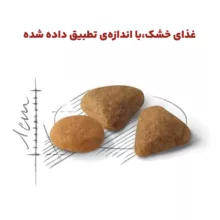 غذای خشک گربه رویال کنین مدل Savour Exigent وزن 2 کیلوگرم