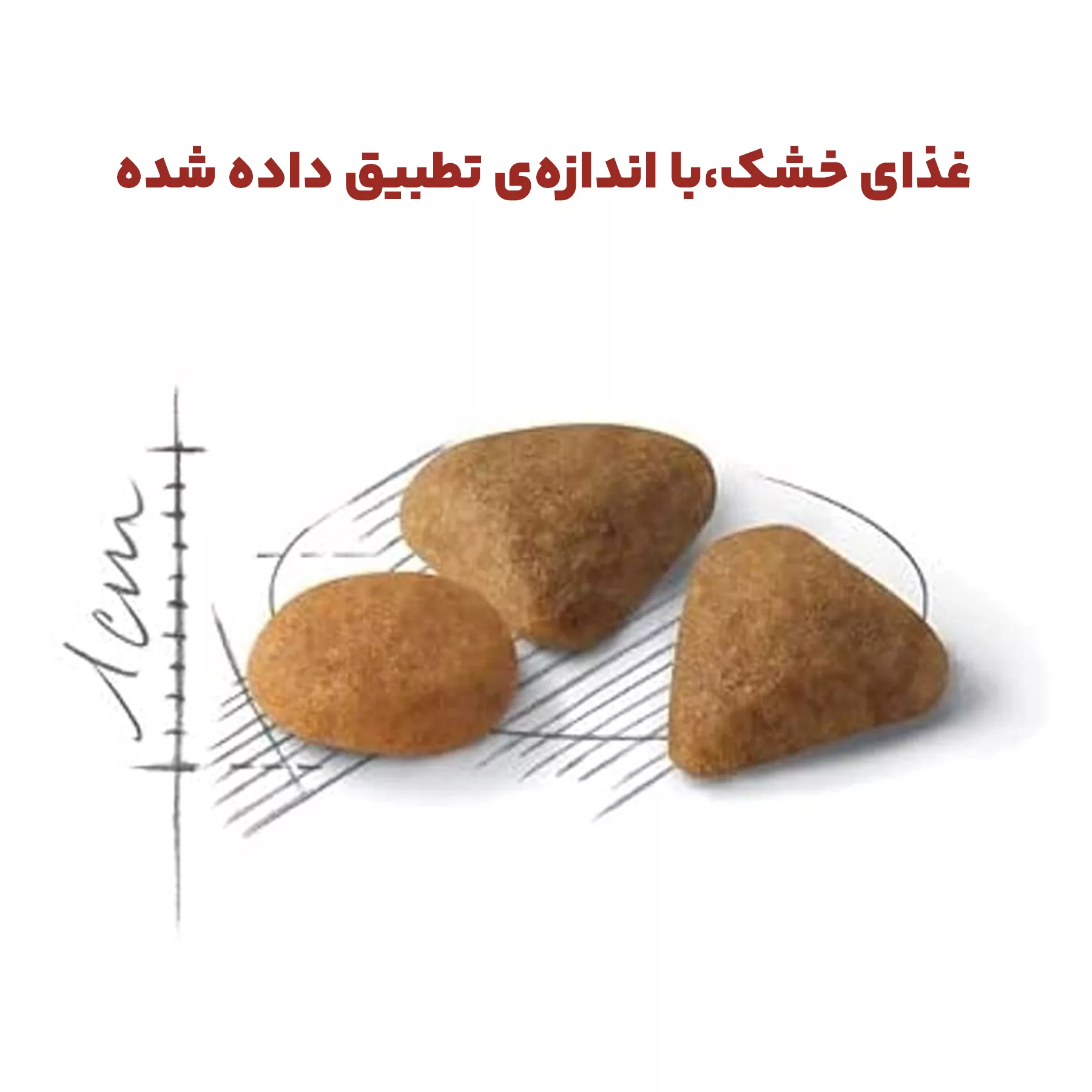 غذای خشک گربه رویال کنین مدل Savour Exigent وزن 2 کیلوگرم