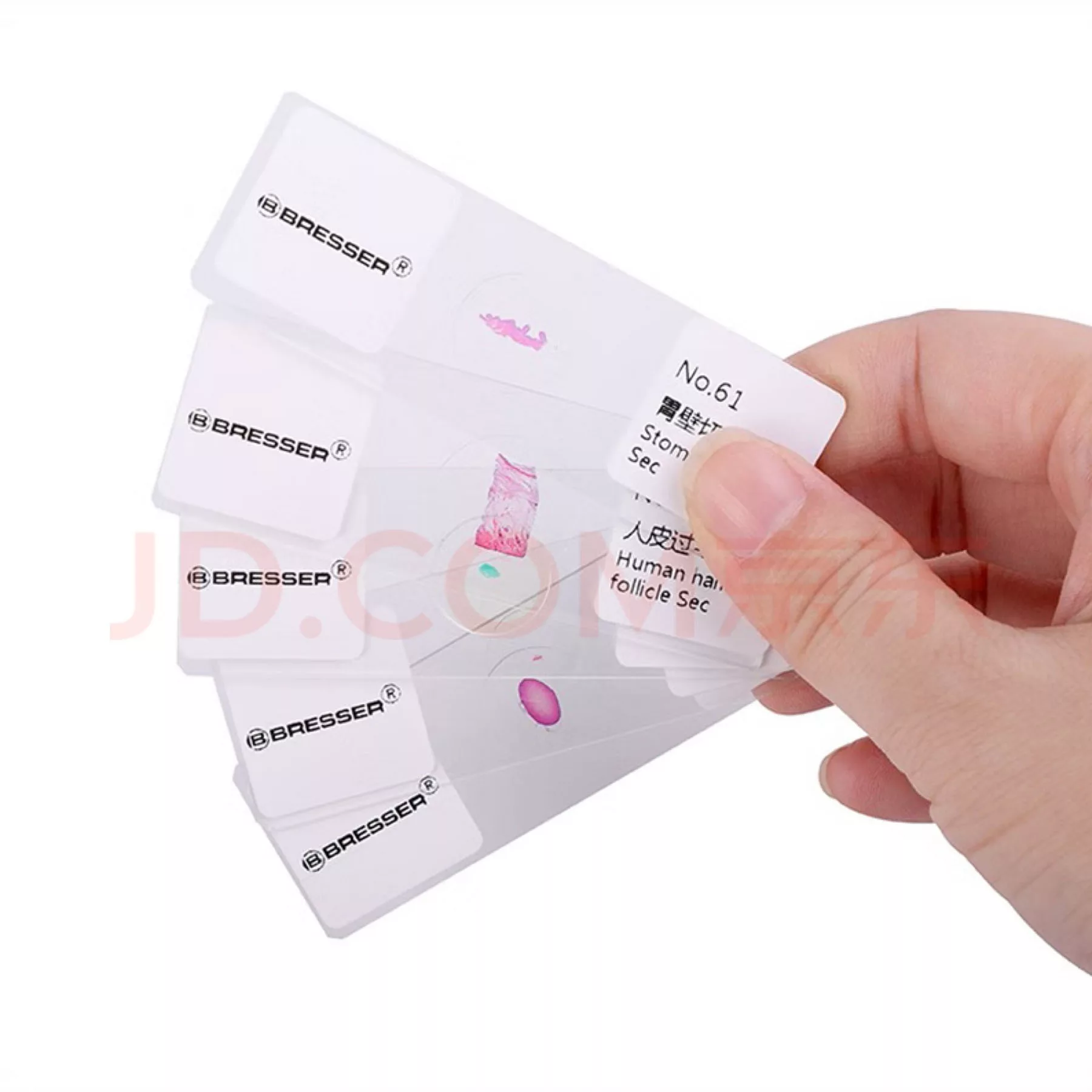 اسلاید میکروسکوپ برسر مدل آماده مجموعه 100 عددی