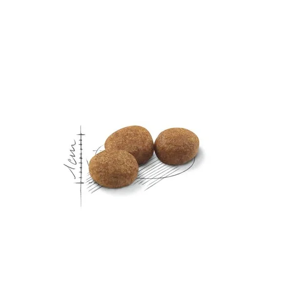 غذای خشک گربه بالغ عقیم شده رویال کنین مدل Regular Sterilised وزن 2 کیلوگرم