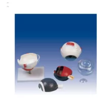 بازی آموزشی صنایع آموزشی مدل کره چشم کد 19003