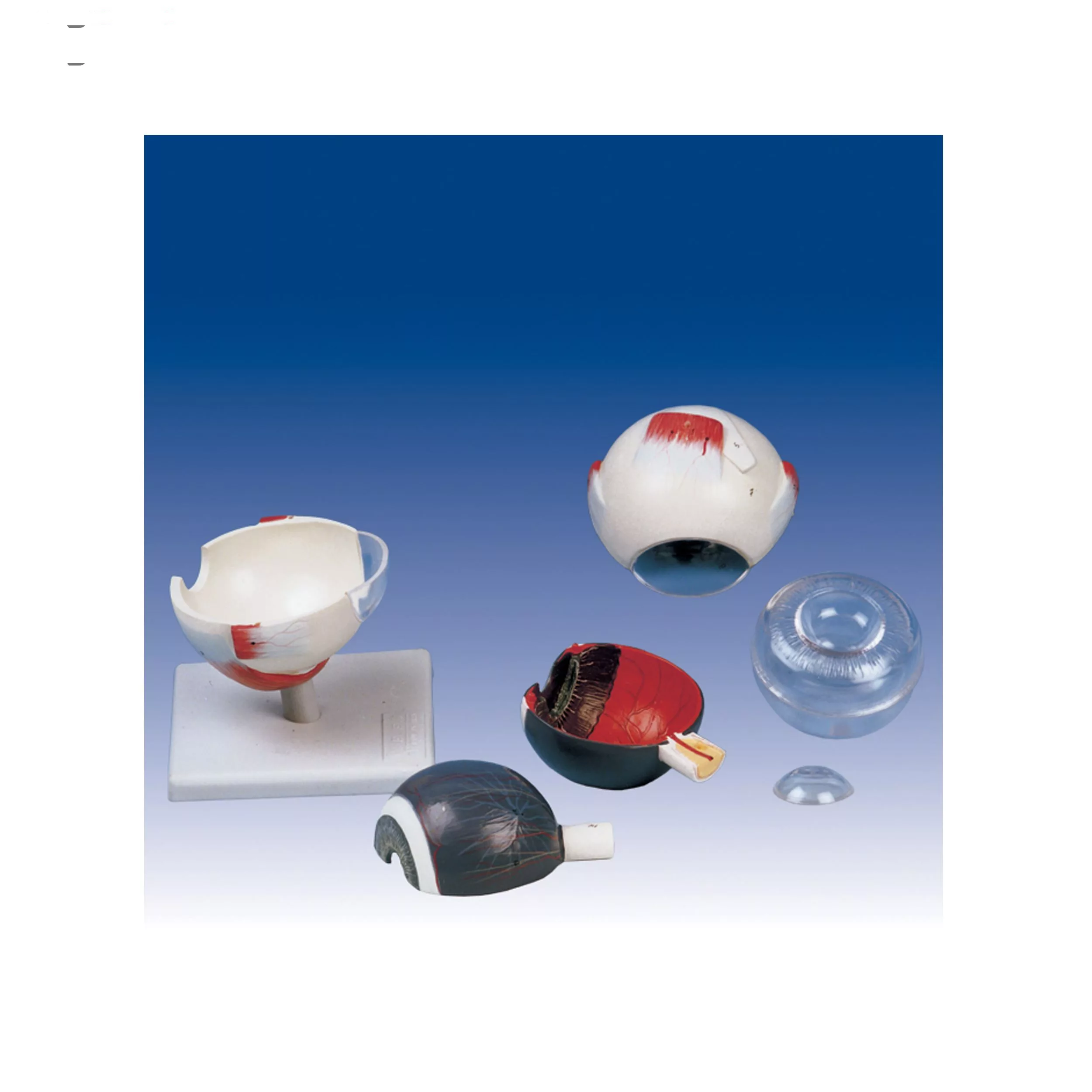 بازی آموزشی صنایع آموزشی مدل کره چشم کد 19003