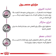 غذای خشک گربه رویال کنین مدل رنال وزن 2 کیلوگرم