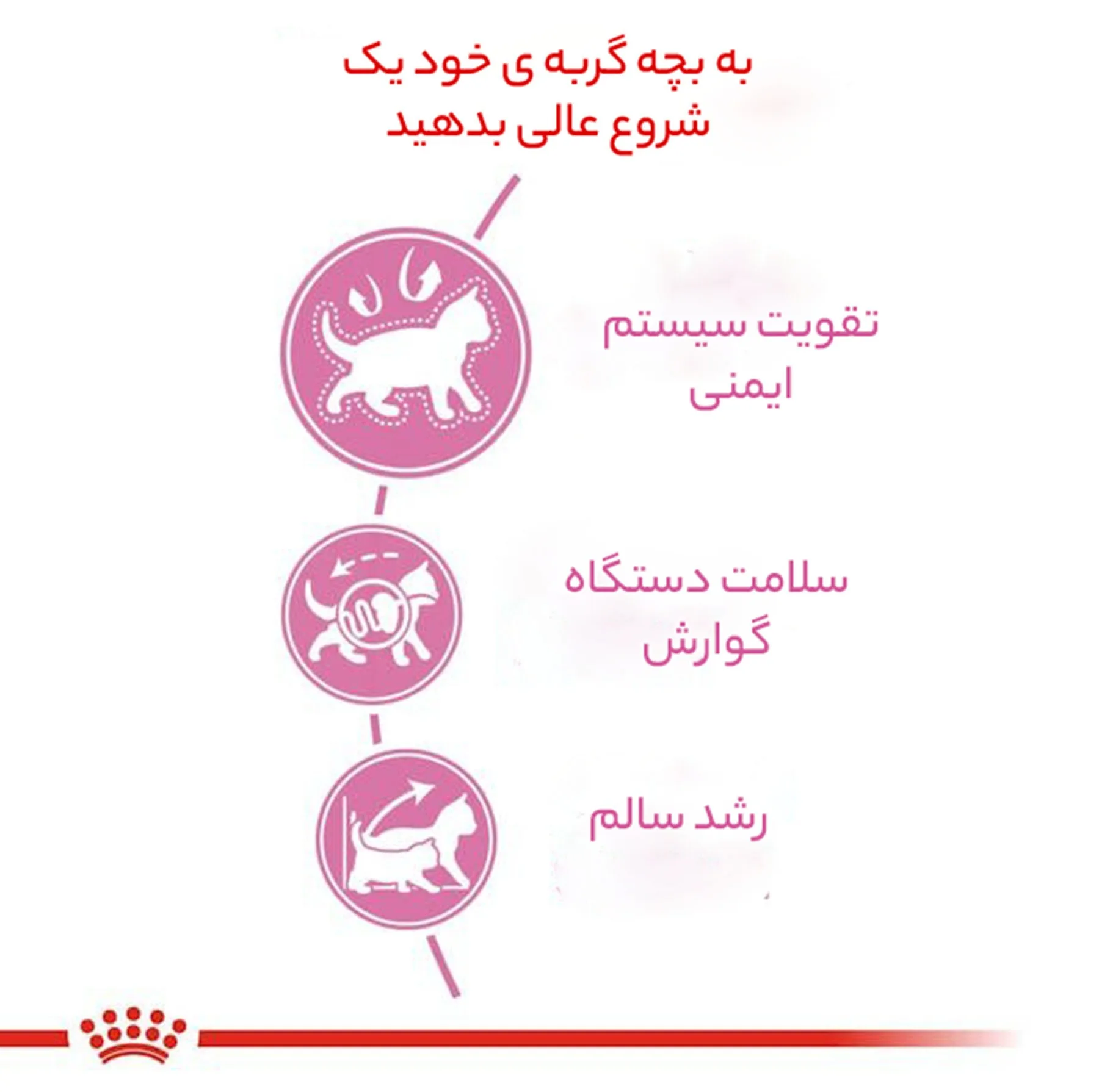 غذای خشک بچه گربه رویال کنین مدل Kitten وزن 2 کیلوگرم