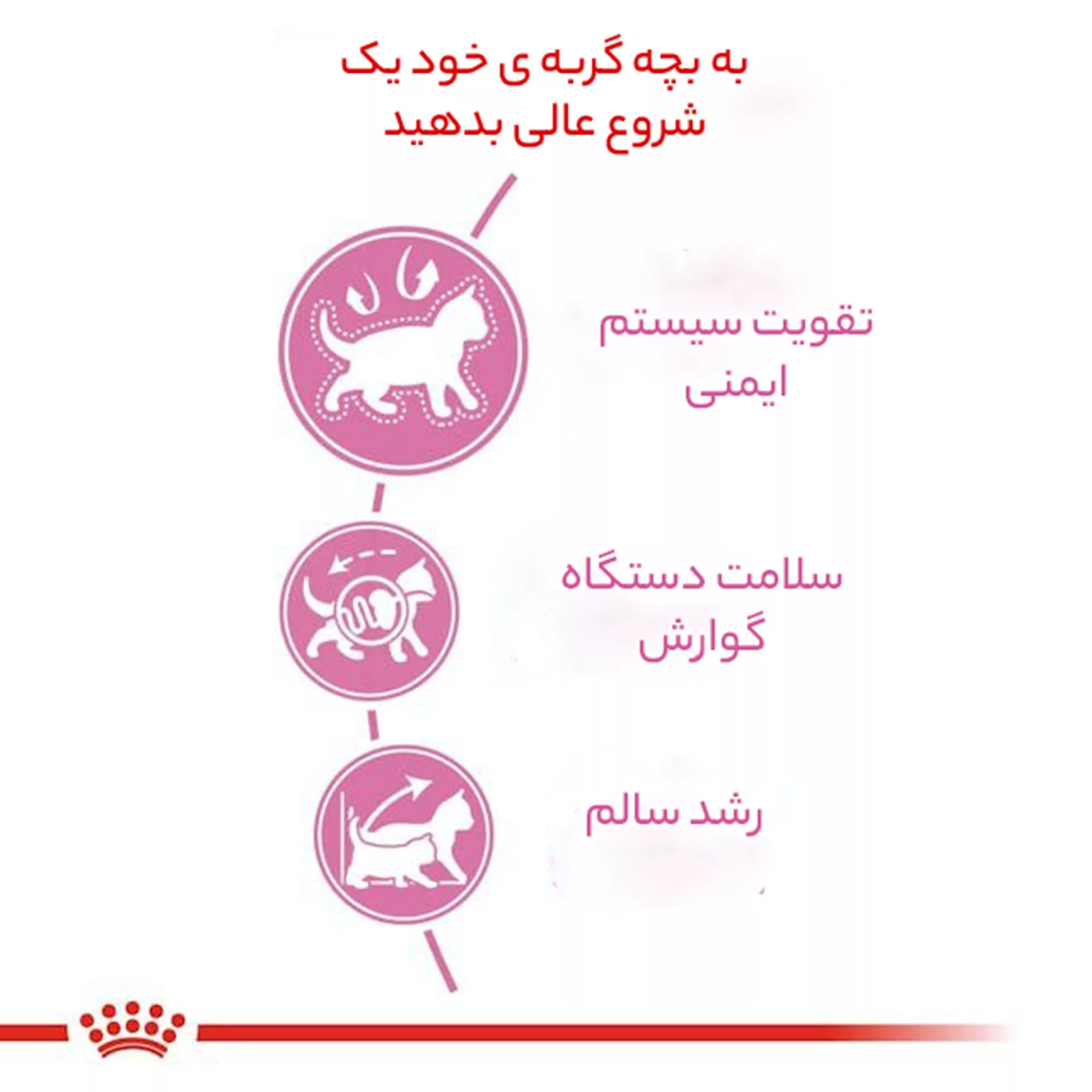 غذای خشک گربه رویال کنین مدل کیتن وزن 2 کیلوگرم