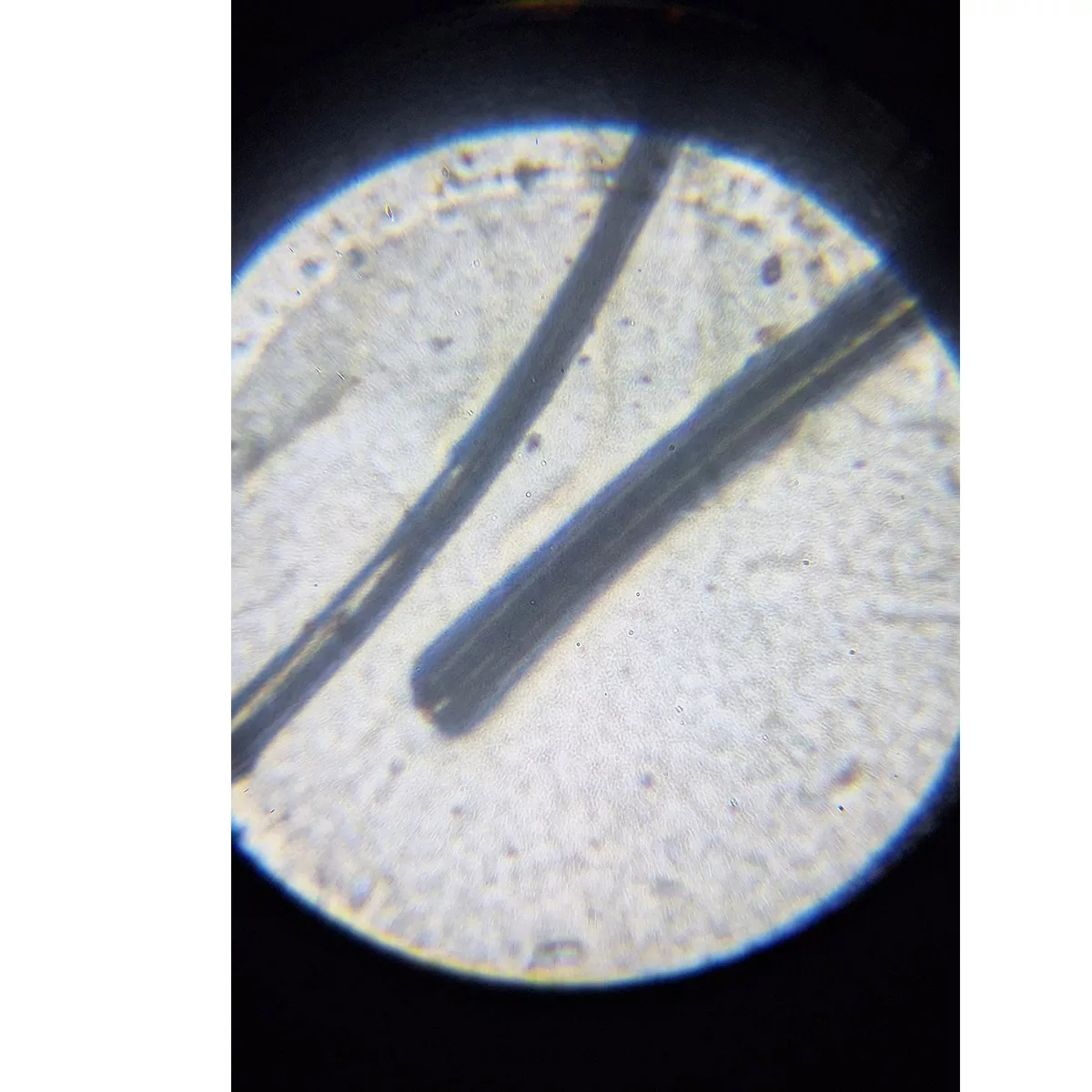 میکروسکوپ کامار مدل دانش آموزی فلزی 1200x